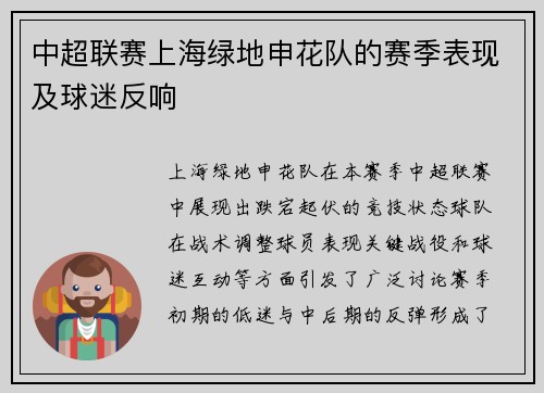中超联赛上海绿地申花队的赛季表现及球迷反响